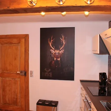 Altstadt, Hirsch Apartment