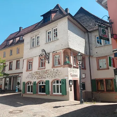 Apartment Altstadt, Hirsch