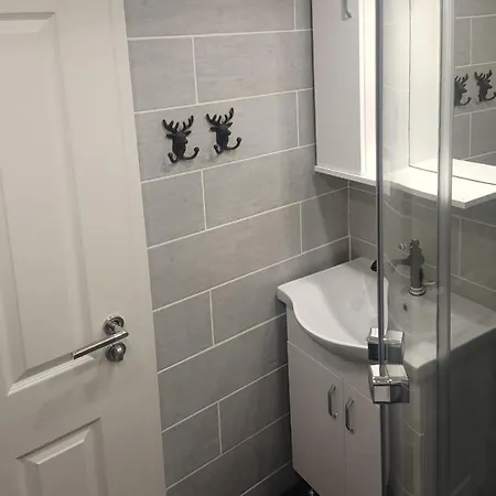 Altstadt, Hirsch * 希尔施霍恩