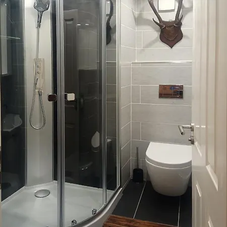 Apartment Altstadt, Hirsch