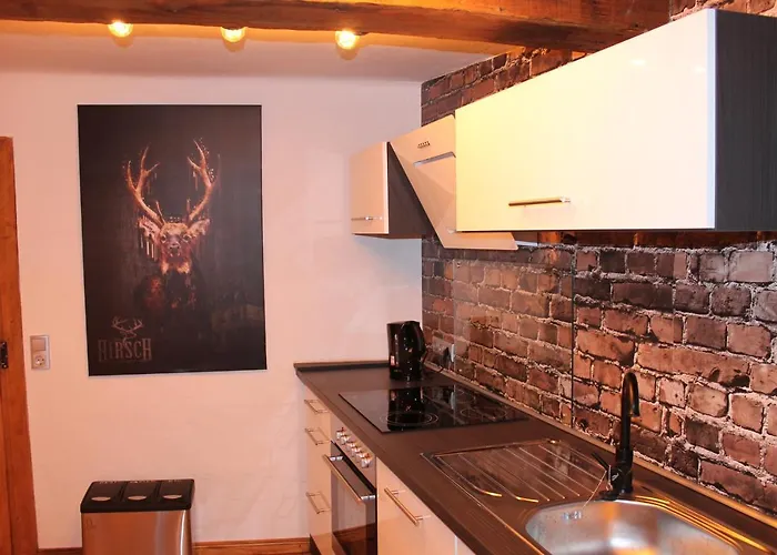 Altstadt, Hirsch * Hirschhorn